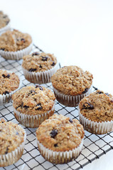 Freshly baked bran muffin on cooling tray