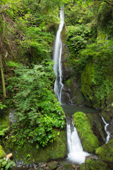 滝と新緑（東京檜原村大滝）