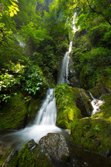 Fototapeta na wymiar 滝と新緑（東京檜原村大滝）