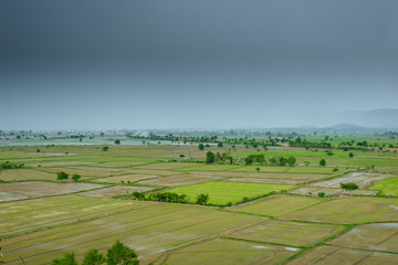 Naklejka premium Mountain green field scenic beautiful