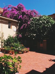 patio with flowers