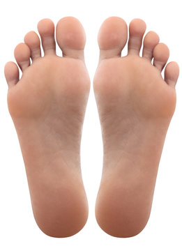 female feet