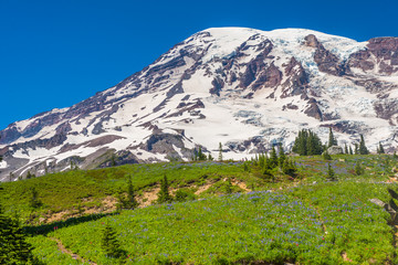 Mount Rainer, Oregon