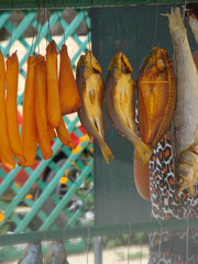 trade of fish