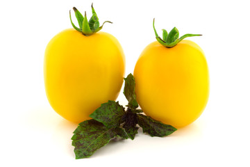 Fototapeta na wymiar Yellow tomatoes