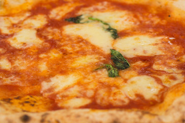 Pizza Margherita