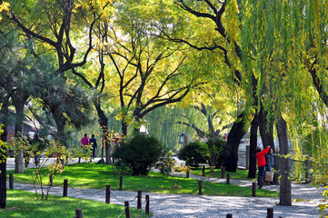  Autumn park with tourists in Beijing
