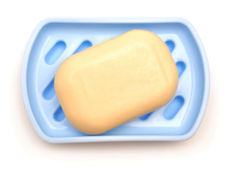Soap in soap dish