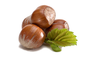 Haselnuesse_freigestellt04