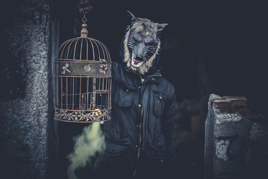 Ugly, man with mask wolf and lamp with colored smoke