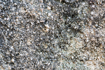 Wall with moisture and fungi