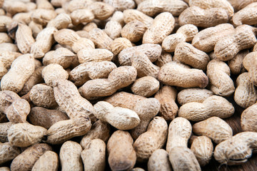 large grains of peanuts in the shell
