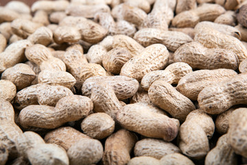 large grains of peanuts in the shell