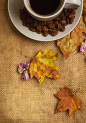 The cup of coffee with maple leaves and everlasting flowers