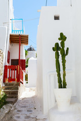 Fototapeta premium Traditional street of Mykonos island in Greece