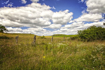 Fototapeta premium Farm landscape Sweden