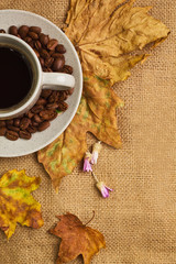 The cup of coffee with maple leaves and everlasting flowers
