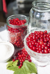 Berries on the table