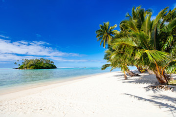Belle plage tropicale sur une île exotique du Pacifique