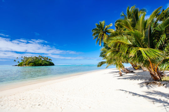 Fototapeta Beautiful tropical beach at exotic island in Pacific