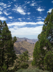 Fototapeta na wymiar Inland Gran Canaria, Caldera de Tejeda