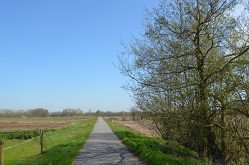 Fototapeta na wymiar small path between meadow in flanders