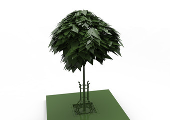 Fototapeta premium Trees isolated