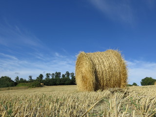 rotoli di fieno, campagna