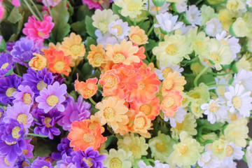 rose paper backgrounds