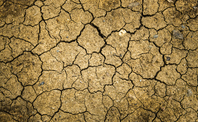 Dry cracked soil texture