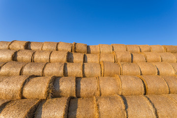 Piled hay bales on a field against blue sky