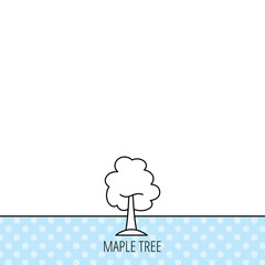 Maple tree icon. Forest wood sign.