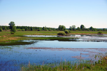 landscape lake, grass, field, green