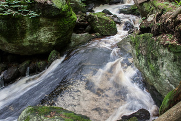 Natur Bach wild