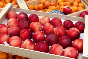 display of peaches and apricots in the market