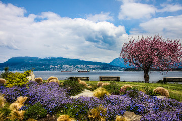 Fototapeta premium Wiosna w porcie w Vancouver
