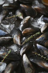 Raw fresh mussles ready for cooking