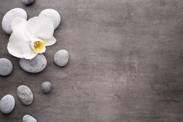 White orchid and spa stones on the grey background.