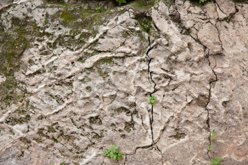 Stone for background
