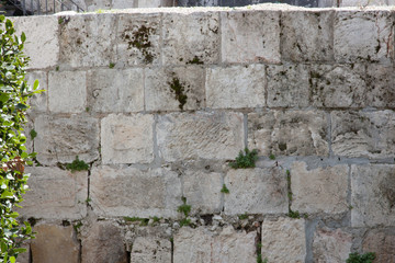 Stone for background