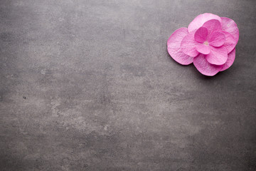 Wellness background.