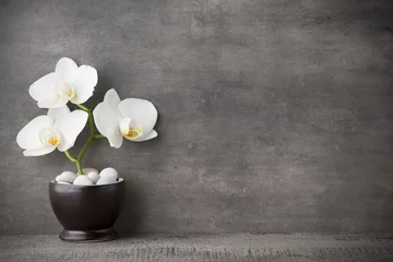 Poster Witte orchidee en spa stenen op de grijze achtergrond. © gitusik