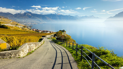 Lavaux, Rebbaugebiet, Schweiz