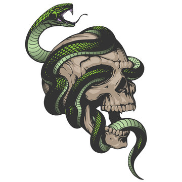 Skull with snake illustration
