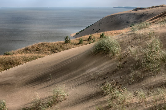 Dead Dunes in Neringa, Lithuania. UNESCO World Heritage Site 