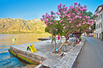 Quay with a blossoming tree