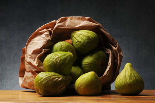 Ficus carica Higuera F&iacute;kovn&iacute;k smokvoň  Fico تين شائعイチジク มะเดื่อ Figa Инжир Fichi 무화과나무 Figowiec pospolity ಅಂಜೂರ അത്തി &Sigma;&upsilon;&kappa;&iota;ά Aitoviikuna Figs Թուզ תאנה