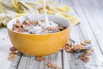 Bowl with Cornflakes and Milk