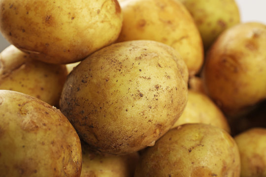 Young potatoes close up