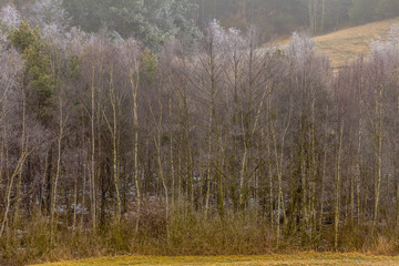 Countryside view frosty hilly fields with trees